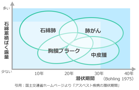引用 国土交通昌ホームページより「アスベスト疾病の潜伏期間」